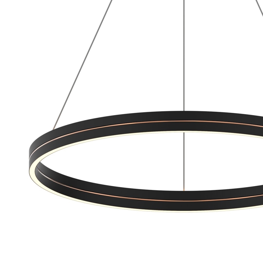 LED Hanglamp aan een koord GRAVITY LED/36W/230V zwart