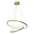 LED Hanglamp aan een koord HOOP LED/51W/230V diameter 60 cm 4000K goud