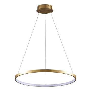 LED Hanglamp aan een koord LEA LED/20W/230V 4000K diameter 50 cm goud