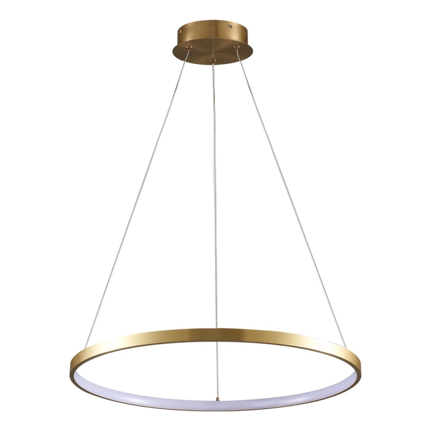 LED Hanglamp aan een koord LEA LED/20W/230V 4000K diameter 50 cm goud