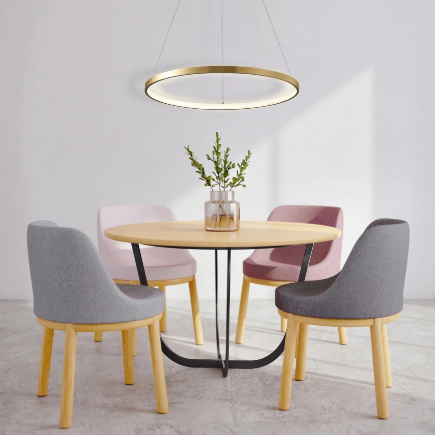 LED Hanglamp aan een koord LEA LED/20W/230V 4000K diameter 50 cm goud