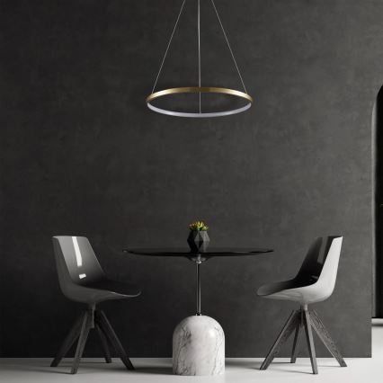LED Hanglamp aan een koord LEA LED/20W/230V 4000K diameter 50 cm goud