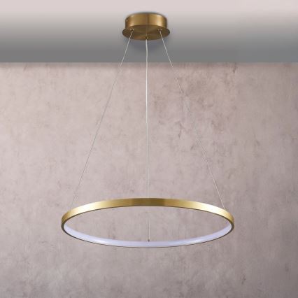 LED Hanglamp aan een koord LEA LED/20W/230V 4000K diameter 50 cm goud