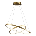 LED Hanglamp aan een koord LEA LED/35W/230V 4000K diameter 60 cm goud