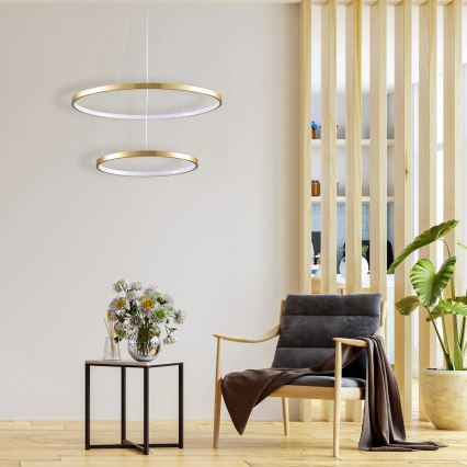 LED Hanglamp aan een koord LEA LED/35W/230V 4000K diameter 60 cm goud