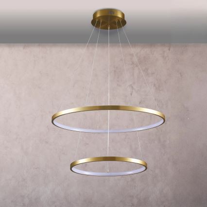 LED Hanglamp aan een koord LEA LED/35W/230V 4000K diameter 60 cm goud