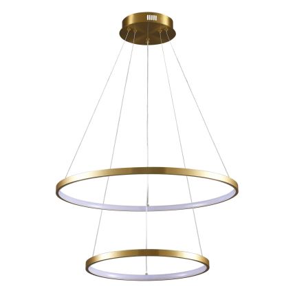 LED Hanglamp aan een koord LEA LED/35W/230V 4000K diameter 60 cm goud