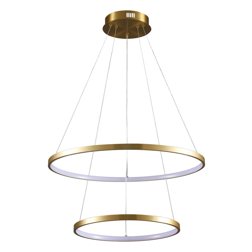 LED Hanglamp aan een koord LEA LED/35W/230V 4000K diameter 60 cm goud
