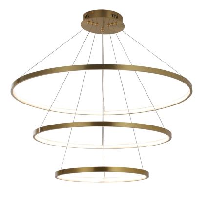 LED Hanglamp aan een koord LEA LED/60W/230V 4000K diameter 80 cm goud