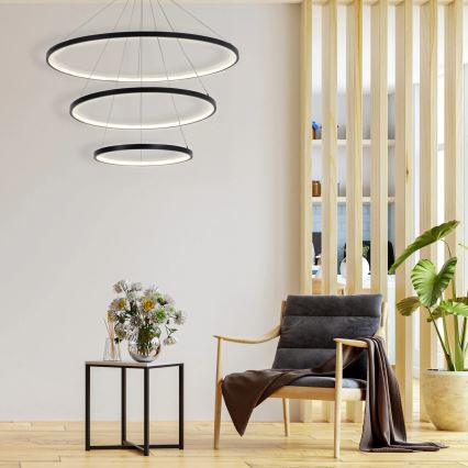 LED Hanglamp aan een koord LEA LED/60W/230V 4000K diameter 80 cm zwart