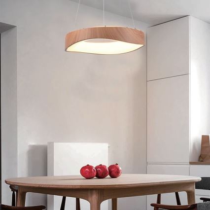 LED Hanglamp aan een koord LED/18W/230V 3000K ø 40 cm bruin