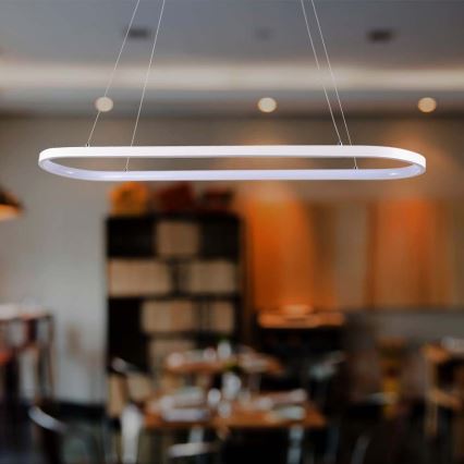 LED Hanglamp aan een koord LED/24W/230V 3000K wit