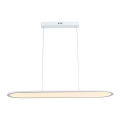 LED Hanglamp aan een koord LED/24W/230V 3000K wit