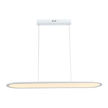 LED Hanglamp aan een koord LED/24W/230V 3000K wit