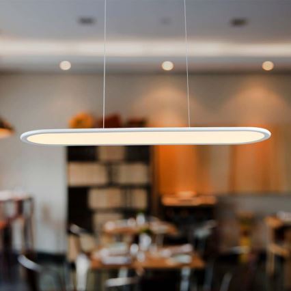 LED Hanglamp aan een koord LED/24W/230V 3000K wit