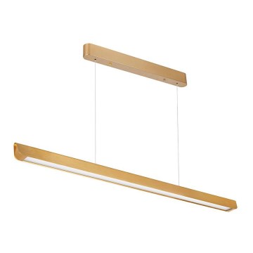LED Hanglamp aan een koord LED/36W/230V 3000/4000/6400K goud