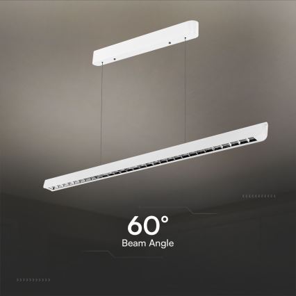 LED Hanglamp aan een koord LED/36W/230V 3000/4000/6400K wit