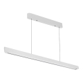 LED Hanglamp aan een koord LED/36W/230V 3000/4000/6400K wit