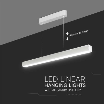 LED Hanglamp aan een koord LED/40W/230V 3000/4000/6400K wit