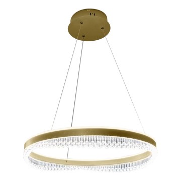 LED Hanglamp aan een koord LED/52W/230V diameter 60 cm goud