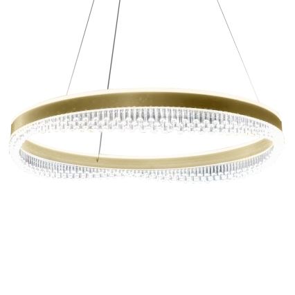 LED Hanglamp aan een koord LED/52W/230V diameter 60 cm goud