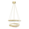 LED Hanglamp aan een koord LED/85W/230V diameter 60 cm goud