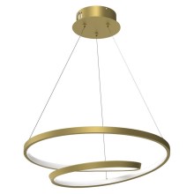 LED Hanglamp aan een koord LUCERNO LED/48W/230V gouden