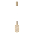 LED Hanglamp aan een koord PERFORATO LED/6,3W/230V 3000K goud diameter 13 cm