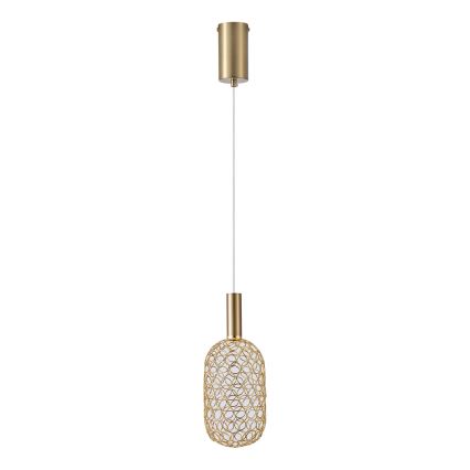LED Hanglamp aan een koord PERFORATO LED/6,3W/230V 3000K goud diameter 13 cm