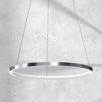 LED Hanglamp aan een koord ROTONDA LED/27W/230V glanzend chroom