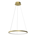 LED Hanglamp aan een koord ROTONDA LED/27W/230V goud