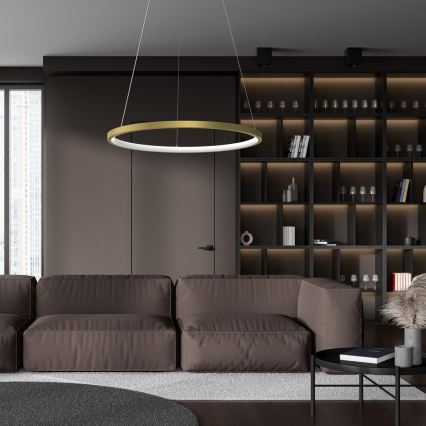 LED Hanglamp aan een koord ROTONDA LED/27W/230V goud