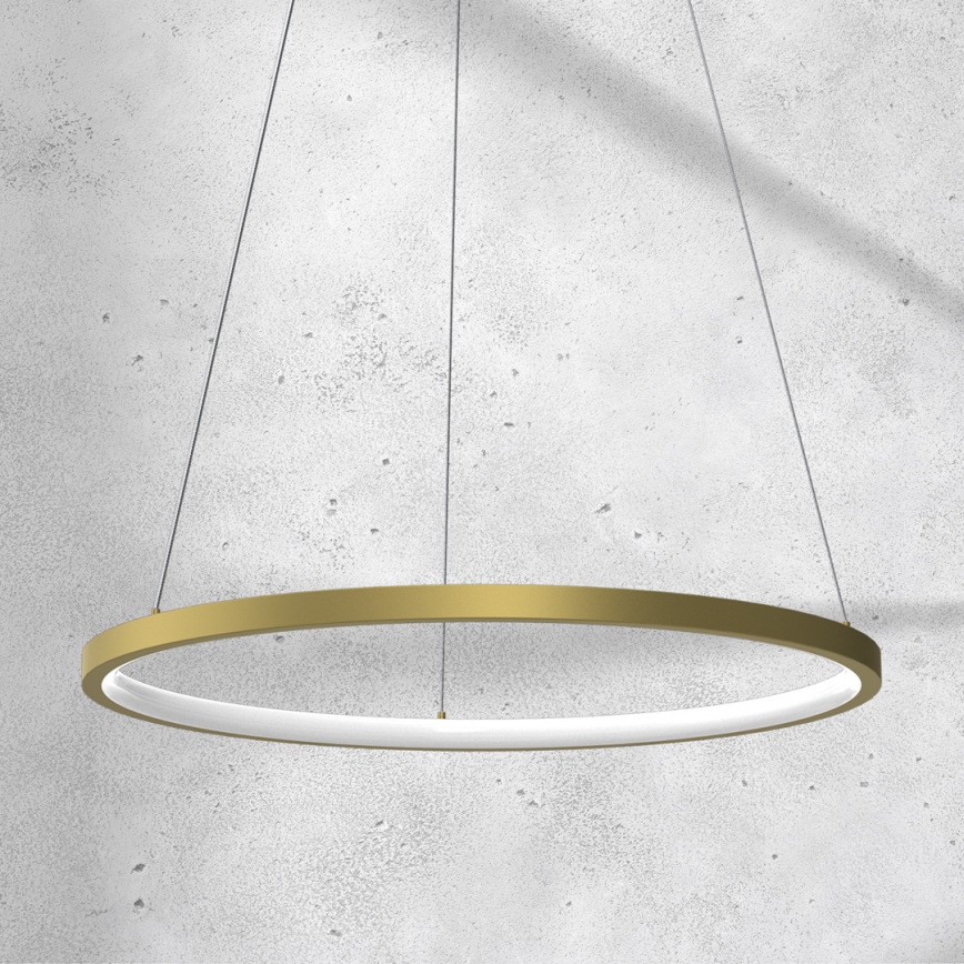 LED Hanglamp aan een koord ROTONDA LED/27W/230V goud