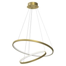 LED Hanglamp aan een koord ROTONDA LED/51W/230V gouden