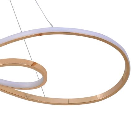 LED Hanglamp aan een koord ZUMBA LED/50W/230V goud