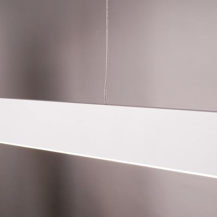 LED-hanglamp aan kabel BERNADETTA LED/20W/230V 4000K wit