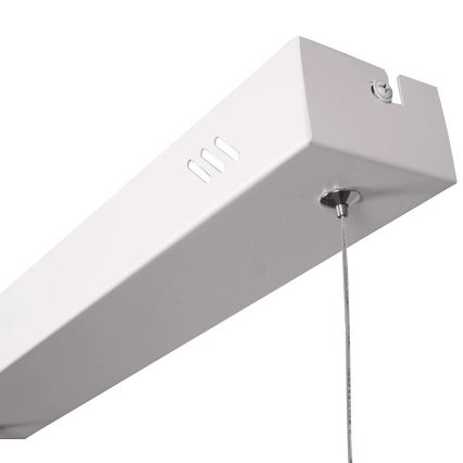 LED-hanglamp aan kabel BERNADETTA LED/20W/230V 4000K wit