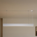 LED-hanglamp aan kabel LED/55W/230V 3000/4000/6500K 120 cm wit