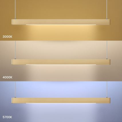 LED-hanglamp aan kabel LINEA LED/36W/230V 3000/4000/5700K CRI 90 goud