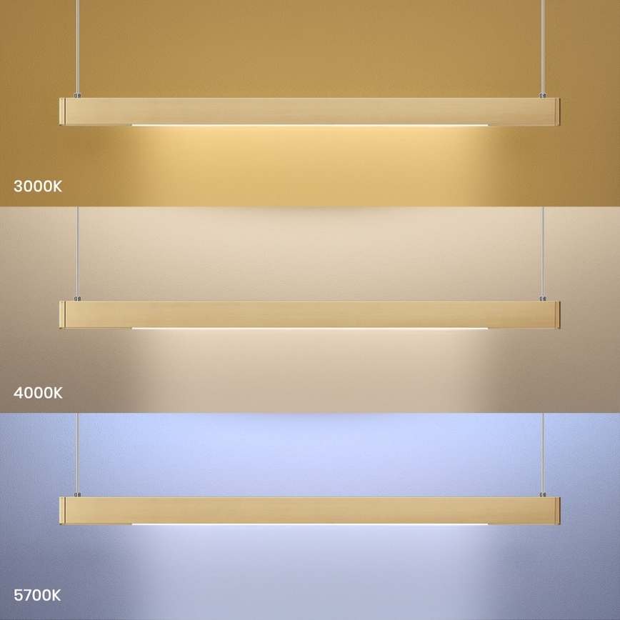 LED-hanglamp aan kabel LINEA LED/36W/230V 3000/4000/5700K CRI 90 goud