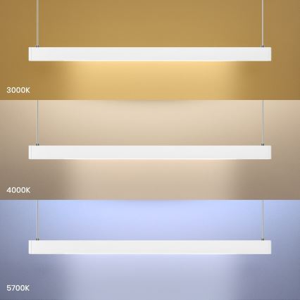 LED hanglamp aan kabel LINEA LED/36W/230V 3000/4000/5700K CRI 90 wit