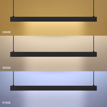 LED-hanglamp aan kabel LINEA LED/36W/230V 3000/4000/5700K CRI 90 zwart
