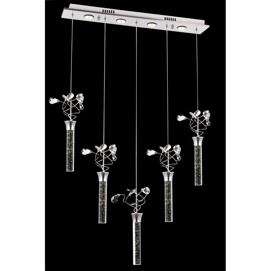 LED-hanglamp aan kabel PIGEON 5xLED/6W/230V 6500K glanzend chroom