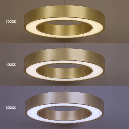 LED-hanglamp aan kabel UNION LED/40W/230V 3000/4000/6500K Ø 40 cm goudkleurig