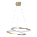 LED-hanglamp aan kabel ZEFIRA LED/40W/230V 4000K Ø 50 cm goudkleurig