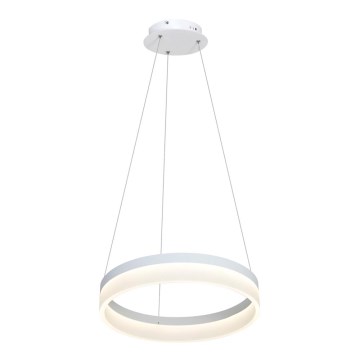 LED Hanglamp aan koord RING LED/24W/230V
