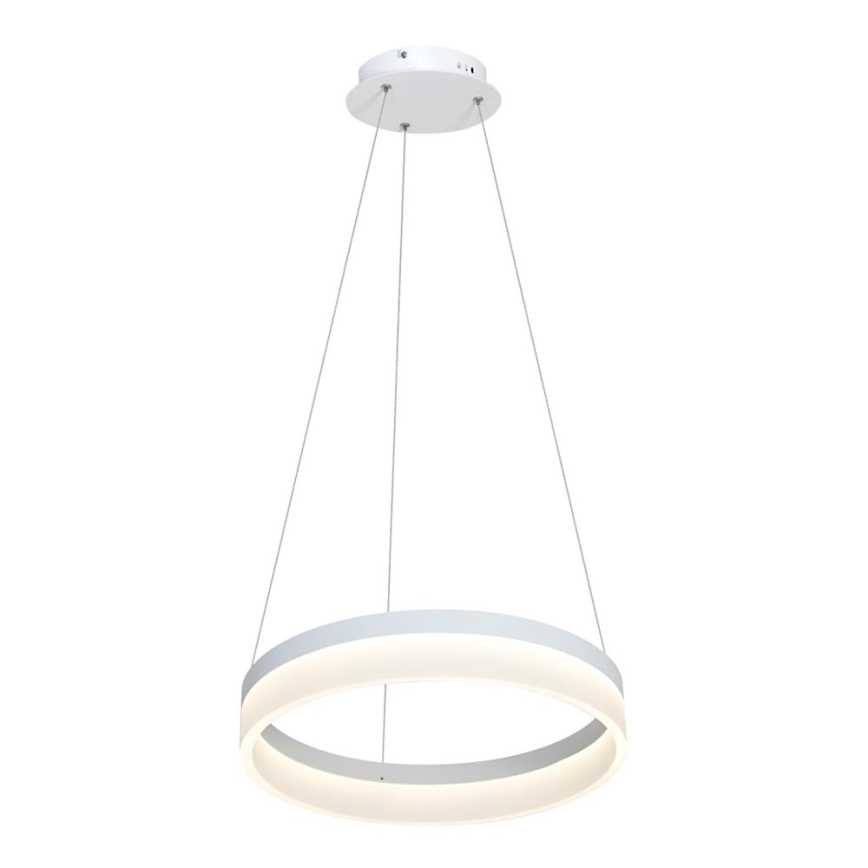 LED Hanglamp aan koord RING LED/24W/230V