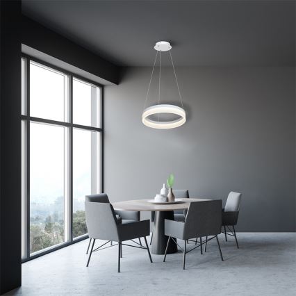 LED Hanglamp aan koord RING LED/24W/230V