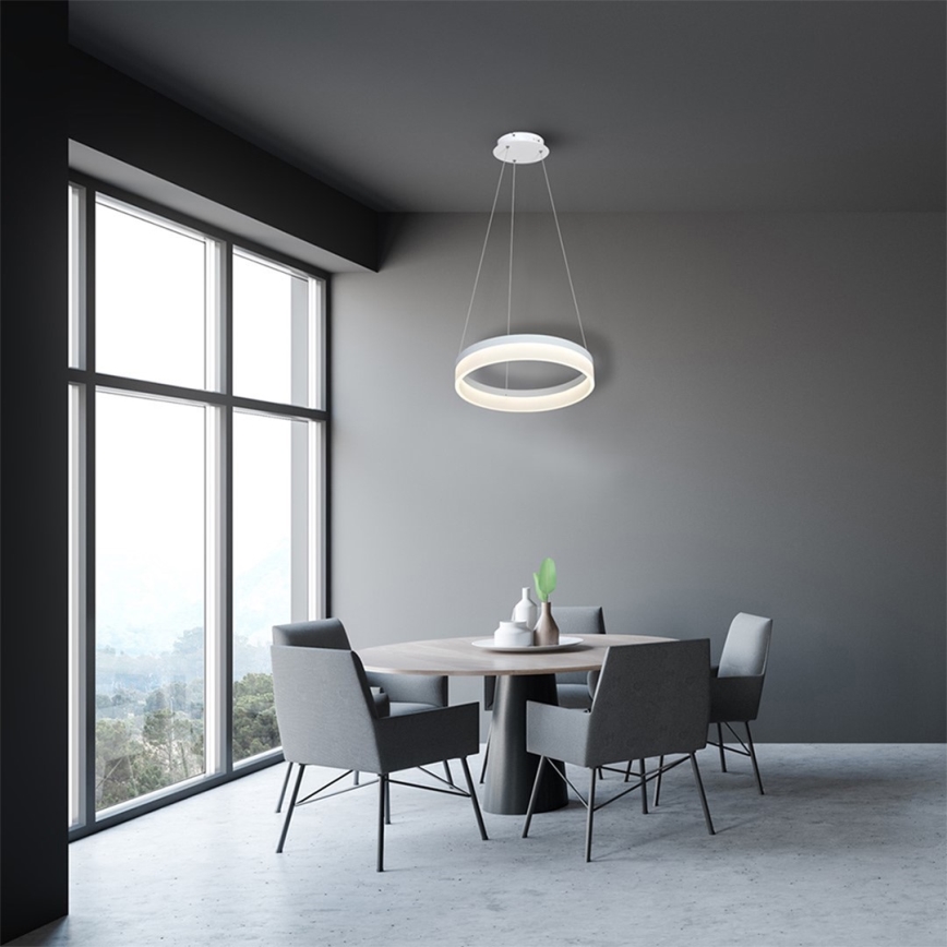 LED Hanglamp aan koord RING LED/24W/230V