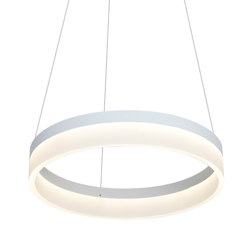 LED Hanglamp aan koord RING LED/24W/230V